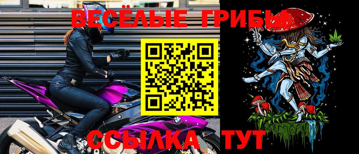 Псилоцибиновые грибы мицелий  Вход с VPN  Сокол 