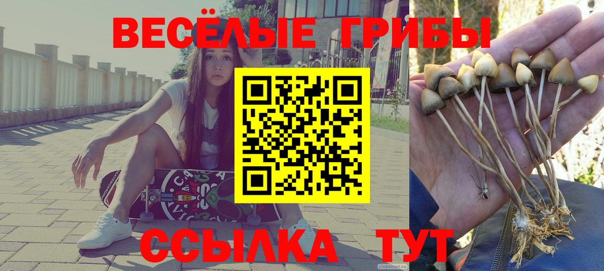 Псилоцибиновые грибы ЛСД Сокол